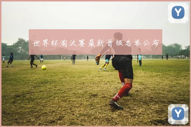 世界杯淘汰赛最新晋级名单公布